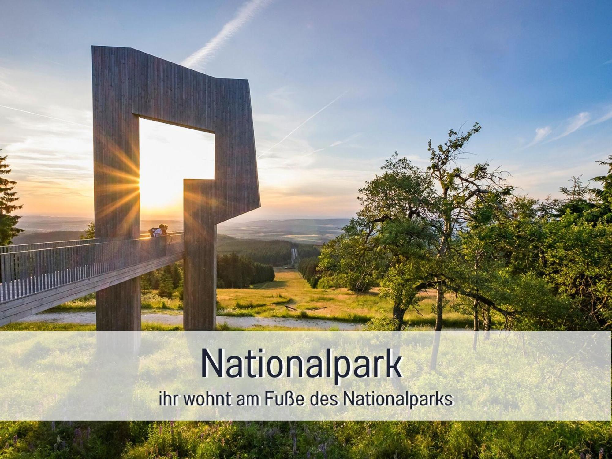 אלנבאך Natur-Chalet Zum Nationalpark Franz Inkl. E-Auto מראה חיצוני תמונה